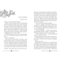 Книга Шарлатова завіса. Дилогія "Шарлатова завіса". Книга 1 - Шелбі Мег'юрін Видавництво РМ (9786178512729) - зменшене зображення 3