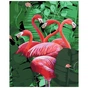 Картина по номерам Strateg Рожеві фламінго 40х50 см (SY6266) - зменшене зображення 1
