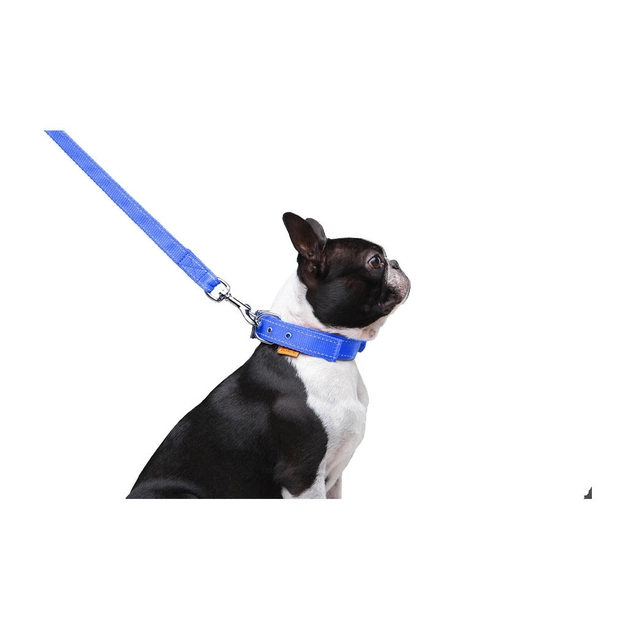 Повідець для собак Dog Extreme з нейлону подвійний Ш 20 мм Д 122 см блакитний (42982) - picture 7