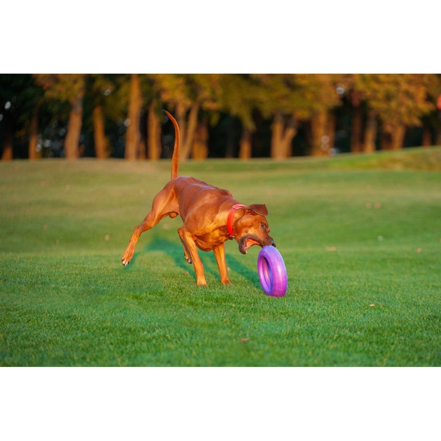 Іграшка для собак Puller Maxi 30 см (6492) - picture 9