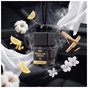 Ароматизатор для автомобиля Vitol Osvizhuvach povitrya VITOL Fresh Air Series Soft Cotton VI 8ml V23036 (V23036) - уменьшенное изображение 6
