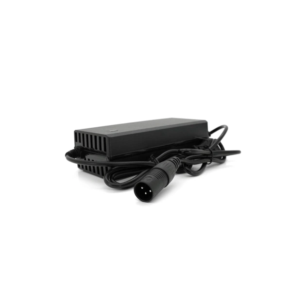 Сетевое зарядное устройство для АКБ Voltronic Li-ion 48V(54,6V), 13S, 3A (HZ-4803) - изображение 1