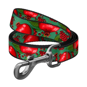 Повідець для собак WAUDOG Nylon "Гранати" S Ш 15 мм Д 300 см (760-4052) зображення 1