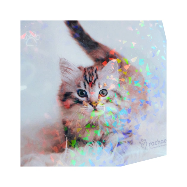 Папка - куточок Kite А4 Rachael Hale (R25-244) - picture 4