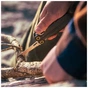Мультитул Leatherman Wave Alpha Obsidian (833334) - уменьшенное изображение 11
