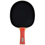 Ракетка для настільного тенісу Donic Waldner 600 (733862) - зменшене зображення 2