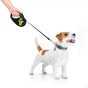 Повідок для собак WAUDOG R-leash Дім світловідбиваюча стрічка XS 3 м (8123-0230-01) - зменшене зображення 3