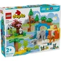 Конструктор LEGO DUPLO Town Сімейства диких тварин 3-в-1 (10446) - зменшене зображення 1