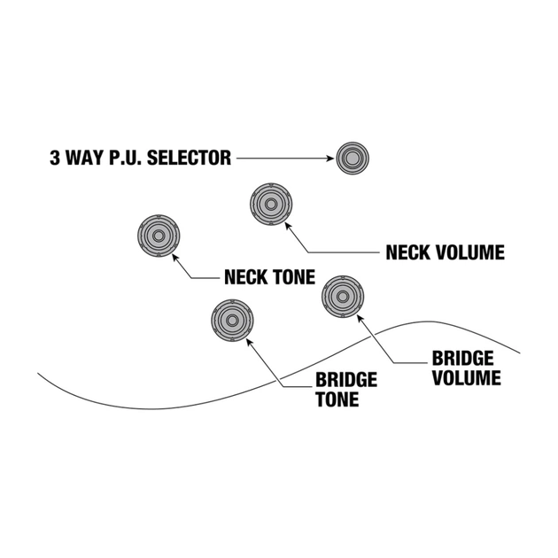 Гітара напівакустична Ibanez AG75G BS (236145) - picture 9