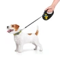 Повідок для собак WAUDOG R-leash Дім світловідбиваюча стрічка XS 3 м (8123-0230-01) - зменшене зображення 6