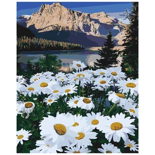 Картина по номерам Strateg Галявина серед гір 40х50 см (SY6082) зображення 1