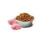 Сухий корм для кішок Farmina GRAIN FREE Sterilised курка, гранат 1.5 кг (8010276030467) - уменьшенное изображение 2