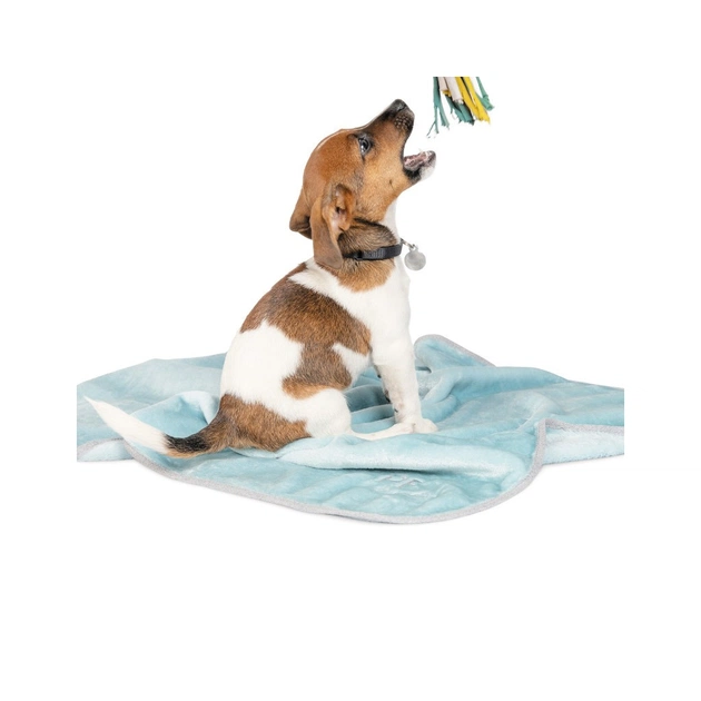 Килимок для тварин Pet Fashion Bliss 2 77x100 см м'ятний (4823082419067) - зображення 1