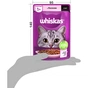 Вологий корм для кішок Whiskas Лосось у соусі 85 г (5900951302053) - зменшене зображення 9