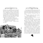 Книга Агата Містері. Слідами діаманта. Книга 19 - Сер Стів Стівенсон Видавництво РМ (9786178248550) - зменшене зображення 4