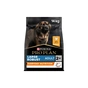 Сухий корм для собак Purina Pro Plan Dog Large Adult Robust з куркою 14 кг (7613035120426) - зменшене зображення 1