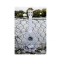 Укулеле Kala Waterman Translucent Soprano Ukulele (231455) - уменьшенное изображение 5