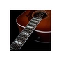 Гітара електроакустична Godin Metropolis LTD Havana Burst HG EQ (235911) - зменшене зображення 6
