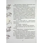 Книга Кожен може поцілувати принцесу - Кузько Кузякін Vivat (9789669821928) - зменшене зображення 3