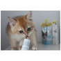 Паста для тварин GimCat Expert Line Kitten вітамінізована 50 г (4002064920191) - зменшене зображення 4