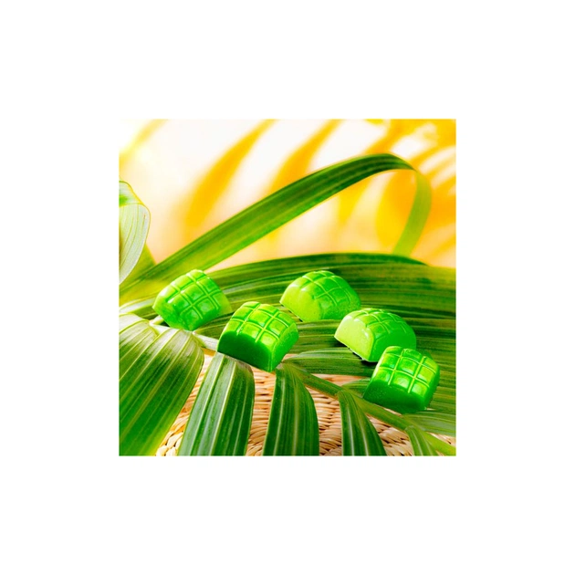 Форма для шоколаду Chocolate World серія "New" Кетупат 8,8 г (2452 CW) - picture 2