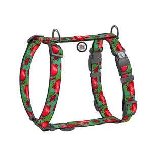 Шлея для собак WAUDOG Nylon анатомічна H-подібна з QR-паспортом "Гранати" пластиковий фастекс, M (344-4052) зображення 1