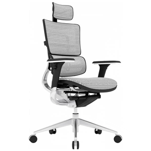 Офісне крісло GT Racer X-801 Light Gray (X-801 Light Gray (W17-1)) зображення 1