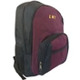 Рюкзак для ноутбука LNT 15.6" BN115 (LNT-BN115G-RD) - зменшене зображення 5