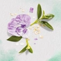 Кондиціонер для волосся Herbal Essences Пасифлора та рисове молоко 275 мл (8001841436746) - зменшене зображення 2