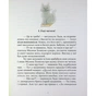 Книга Котулаки і цвіт папороті - Галина Ткачук Ранок (9786170990280) - зменшене зображення 10