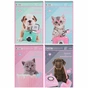 Альбом для малювання Kite Studio Pets спіраль 30 аркушів 4 дизайни (SP21-243-1) - зменшене зображення 1