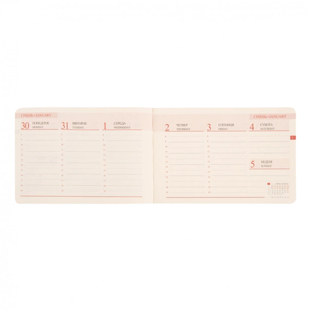 Еженедельник Leo planner датированный 2025 Apiro 10х15 см 128 страниц (252571) - изображение 5