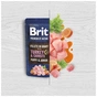 Вологий корм для собак Brit Premium Fillets in Gravy Turkey & Carrots Puppy 85 г (8595602572458) - зменшене зображення 2