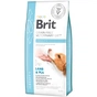 Сухий корм для собак Brit GF VetDiets Dog Obesity 12 кг (8595602528066) - зменшене зображення 1