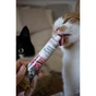 Паста для тварин GimCat DUO PASTE Anti-hairball malt with chicken мальт та курка 50 г (4002064427201) - зменшене зображення 5
