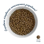 Сухий корм для собак Home Food ADULT MINI Healthy Skin And Shiny Coat з індичкою та лососем 10 кг (4820235020378) - зменшене зображення 4