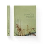 Книга Замість яблук - Іванна Скиба-Якубова Видавництво Старого Лева (9789664483473) - зменшене зображення 1