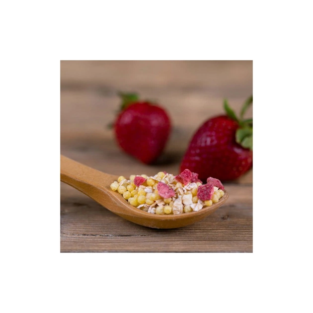 Дитяча каша Fleur Alpine безмолочна Organic Мультизлакова банан-яблуко-полуниця 200 г (9010004508168) - изображение 8