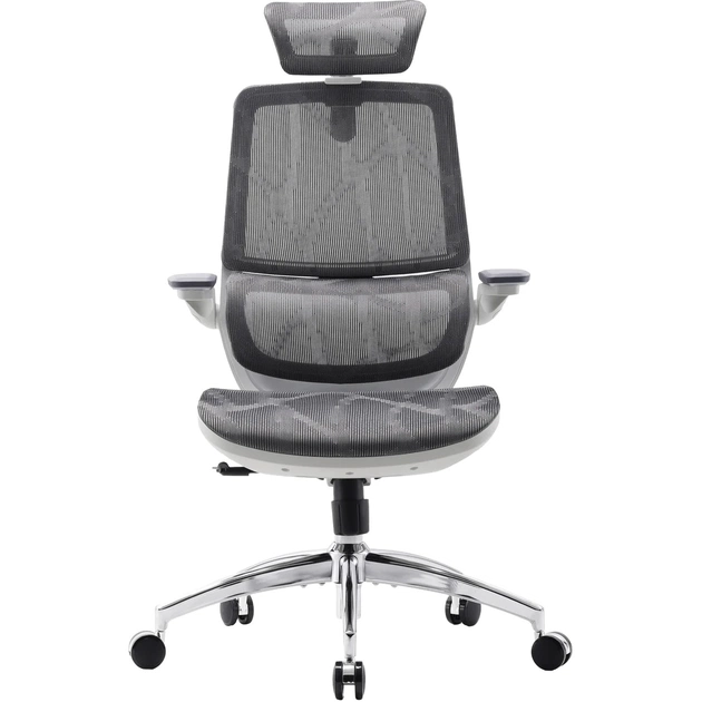 Кресло офисное Sihoo M59AS Mesh Gray (M59AS-M301) - изображение 1