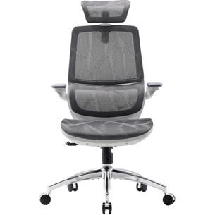 Крісло офісне Sihoo M59AS Mesh Gray (M59AS-M301) зображення 1
