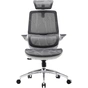 Кресло офисное Sihoo M59AS Mesh Gray (M59AS-M301) - уменьшенное изображение 1