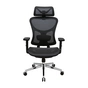 Офісне крісло Richman Ергостар Хром Synchro Сітка Чорне (R00000052543) - зменшене зображення 2