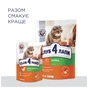 Сухий корм для кішок Club 4 Paws Преміум. Зі смаком курки 14 кг (4820083909146) - зменшене зображення 8