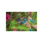Секатор Gardena EasyCut 680 B + секатор до 18 мм Classic (арт.8754-20) (12003-30.000.00) - зменшене зображення 8