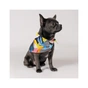 Бандана для тварин Pet Fashion "WEEKEND" XS-S принт (4823082421084) - зменшене зображення 2