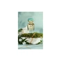 Парфумована вода K-3 39 Blue Moss 100 мл (810023676300) - уменьшенное изображение 5