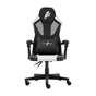 Крісло ігрове 1stPlayer P01 Black-White - зменшене зображення 1
