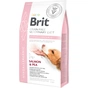 Сухий корм для собак Brit GF VetDiets Dog Hypoallergenic 2 кг (8595602528042) - зменшене зображення 1