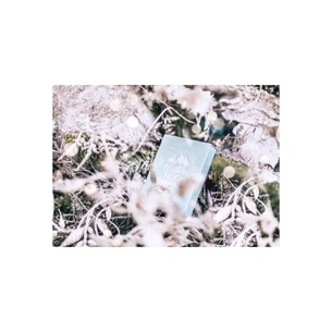 Гральні карти Noc Winter Edition (Glacier Ice) (PC_NWECI) зображення 1