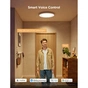 Светильник Govee 12" Smart Ceiling Light, RGBWW + RGBIC, WI-FI/Bluetooth, білий (H80A1C01) - уменьшенное изображение 8